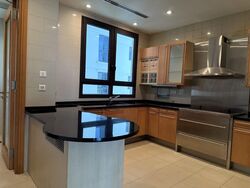 Ardmore Park (D10), Condominium #507464811